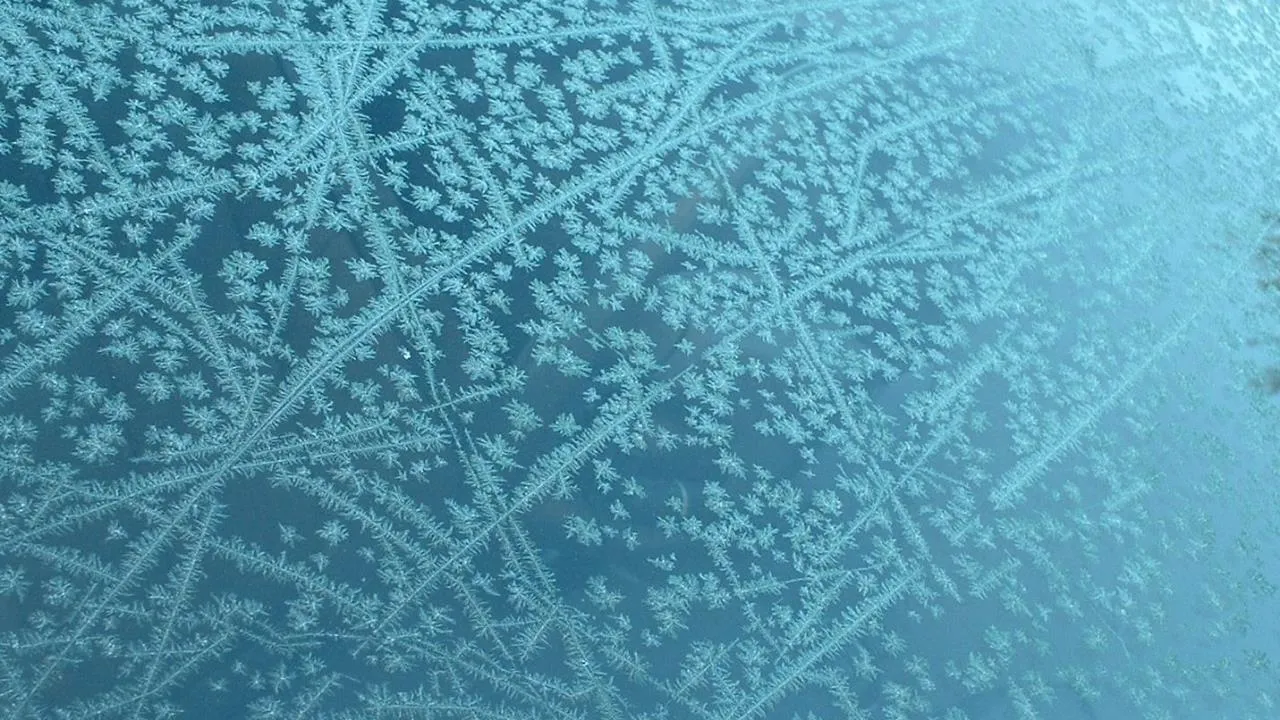 Full NO FROST