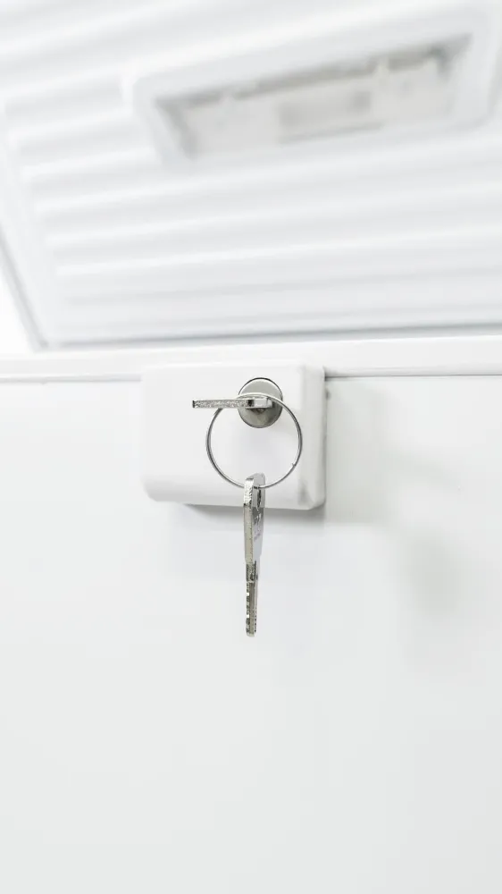 Obrázok MRAZNIČKA PULTOVÁ RFC215D