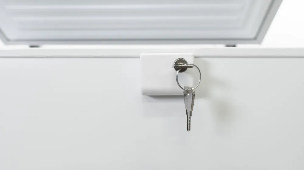 Obrázok MRAZNIČKA PULTOVÁ RFC215D