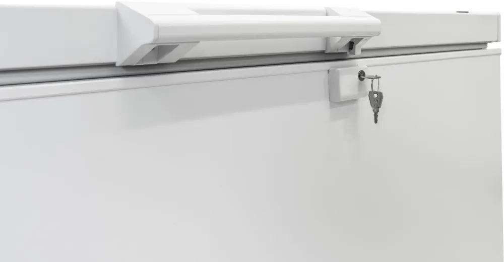 Obrázok MRAZNIČKA PULTOVÁ RFC215D