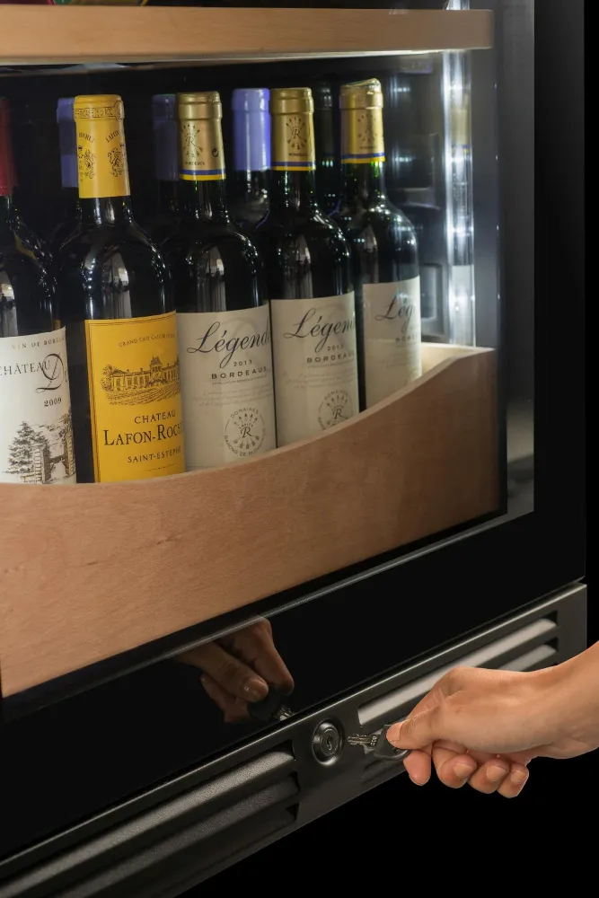 Obrázok VINOTÉKA AVI110DZB1