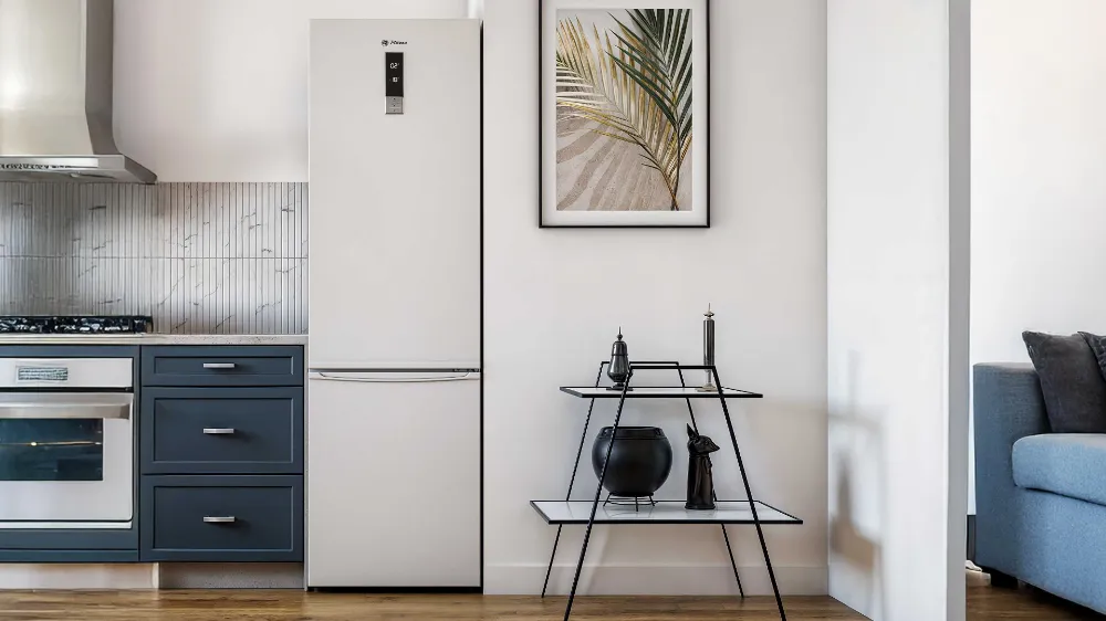 Obrázok CHLADNIČKA RCN4367W