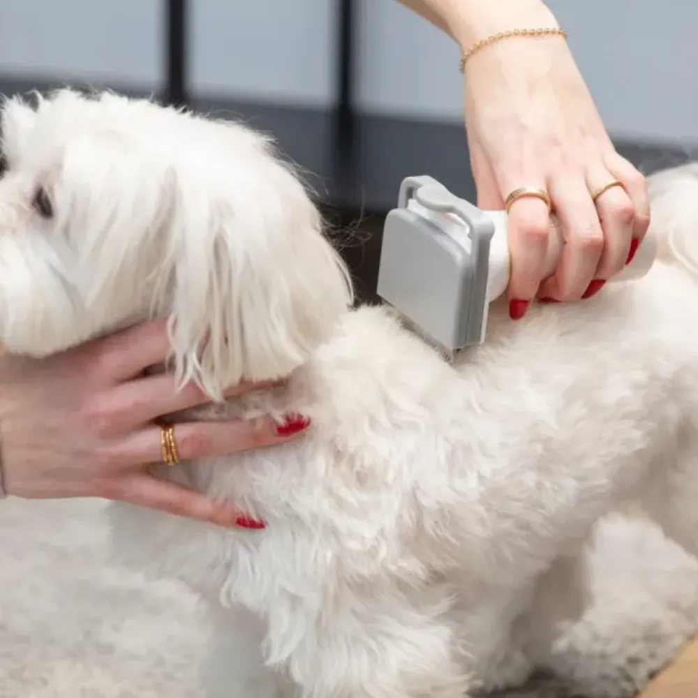 Obrázok Multifunkčný vysávač PET MPM MOD-1000 6v1