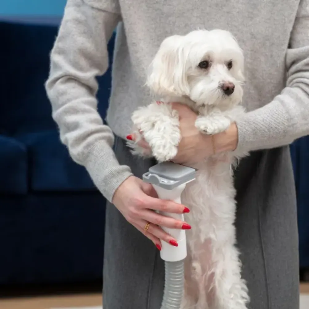 Obrázok Multifunkčný vysávač PET MPM MOD-1000 6v1